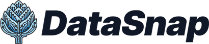 DataSnap Logo